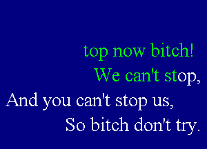 top now bitch!

We can't stop,

And you can't stop us,
So bitch don't try.