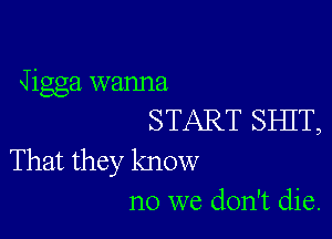 Jigga wanna

START SHIT,

That they know
no we don't die.