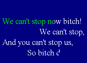We can't stop now bitch!

We can't stop,

And you can't stop us,
So bitch c'