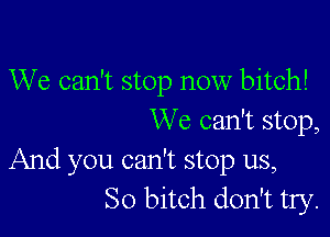 We can't stop now bitch!

We can't stop,

And you can't stop us,
So bitch don't try.