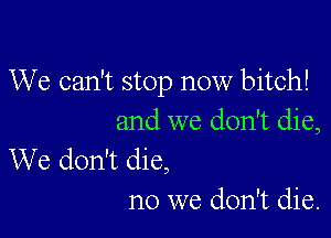 We can't stop now bitch!

and we don't die,

We don't die,
no we don't die.