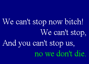 We can't stop now bitch!

We can't stop,

And you can't stop us,
no we don't die.