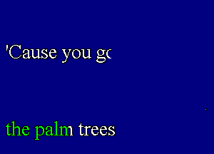 'Cause you gc

the palm trees