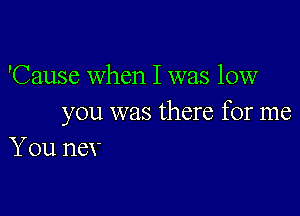 'Cause when I was low

you was there for me
You nex-