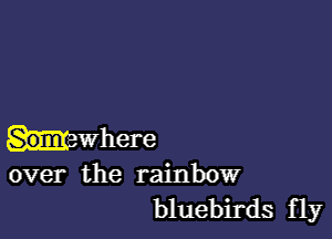 hewhere
over the rainbow

bluebirds fly