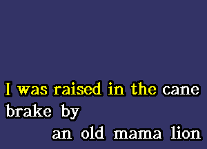 I was raised in the cane

brake by
an old mama lion