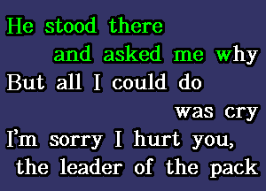 He stood there

and asked me Why
But all I could do

was cry

Fm sorry I hurt you,
the leader of the pack