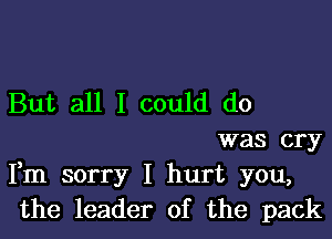 But all I could do

was cry
Fm sorry I hurt you,
the leader of the pack