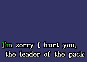 Fm sorry I hurt you,
the leader of the pack