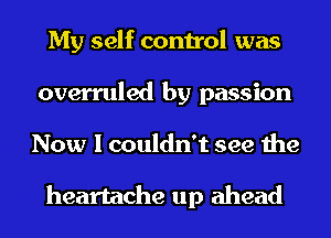 My self control was
overruled by passion
Now I couldn't see the

heartache up ahead