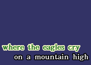 Halsey

on a mountain high