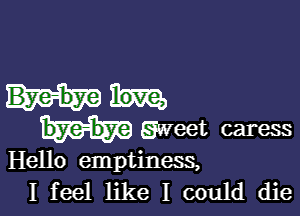 bye-by-e gweet caress
Hello emptiness,

I feel like I could die