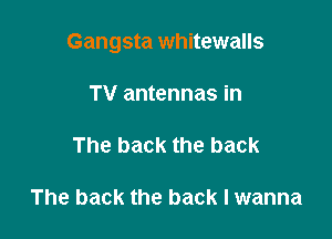 Gangsta whitewalls

TV antennas in

The back the back

The back the back I wanna