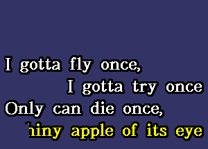 I gotta fly once,

I gotta try once
Only can die once,
11iny apple of its eye