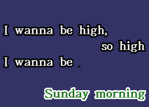 I wanna be high,
so high

I wanna be