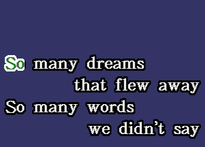 many dreams

that flew away

So many words
we didnT say