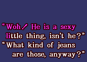 (Wohf He is a sexy

little thing, isn,t he?n

ccWhat kind of jeans
are those, anyway ?n