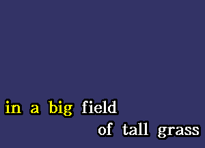 in a big field
of tall grass