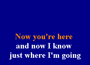 N 0w you're here
and now I know
just Where I'm going