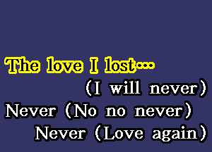 WMEW

(I Will never)
Never (No no never)
Never (Love again)