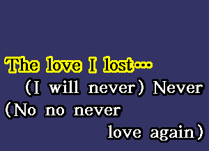 WMEW

(I will never) Never
(No no never
love again)