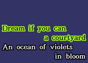mm

aw

An ocean of violets
in bloom