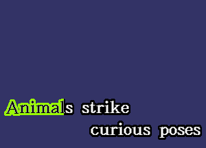 W3 strike

curious poses