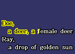 a dim a female deer

Ray,
3 drop of golden sun