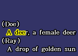 (Doe)

A Q2213 a female deer

(Ray)
A drop of golden sun