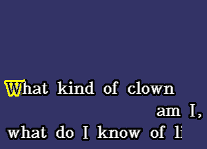 What kind of clown
am I,
what do I knowr of 11'