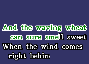 ma aim m
m1 sweet
When the Wind comes

right behinn