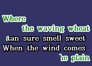 m

9319 m
(can sure smell sweet
When the Wind comes

mam