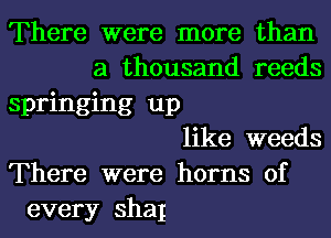 There were more than
a thousand reeds
springing up
like weeds
There were horns of
every shaI