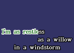 Mmmss

as a Willow
in a Windstorm