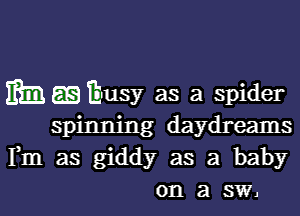 mmmusy as a spider

spinning daydreams
Fm as giddy as a baby
on a st