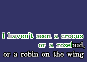 E W seen a enoeus
a nosemd,
or a robin 0n the Wing