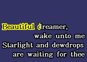 areamer,

wake unto me
Starlight and derrops
are waiting for thee