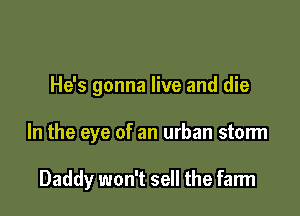 He's gonna live and die

In the eye of an urban storm

Daddy won't sell the farm