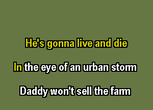 He's gonna live and die

In the eye of an urban storm

Daddy won't sell the farm