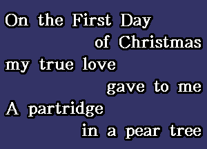 On the F irst Day
of Christmas
my true love

gave to me
A partridge
in a pear tree