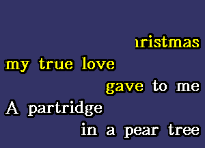 Iristmas

my true love

gave to me
A partridge
in a pear tree