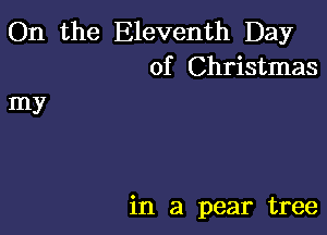 On the Eleventh Day
of Christmas

my

in a pear tree