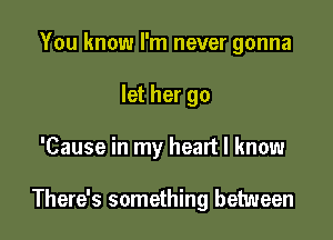 You know I'm never gonna
let her go

'Cause in my heart I know

There's something between