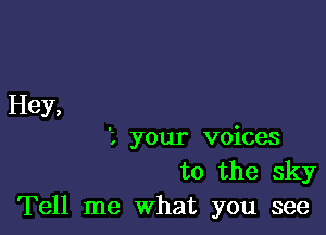 Hey,

'L your voices
to the sky
Tell me what you see