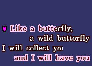 Mia a er 1y,

a Wild butterfly
I Will collect y01

MEWMMI