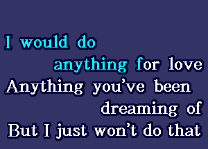 I would do
anything for love
Anything you,ve been
dreaming of

But I just wodt do that l