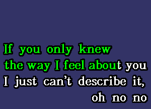 If you only knew

the way I feel about you

I just can,t describe it,
oh no no