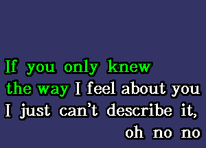 If you only knew

the way I feel about you

I just can,t describe it,
oh no no