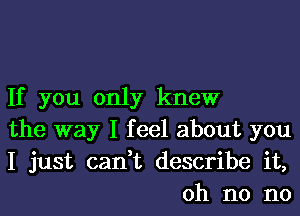 If you only knew

the way I feel about you

I just can,t describe it,
oh no no