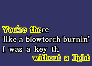 me

like a blowtorch burnjn,
I was a key tln

Ham